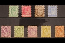 CAPE OF GOOD HOPE 1902-04 KEVII Definitive Complete Set, SG 70/78, Fine Mint (9 Stamps) For More Images, Please Visit Ht - Unclassified