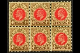 NATAL 1902-3 4d Carmine & Cinnamon, Wmk Crown CA , BLOCK OF SIX, SG 133, Very Slightly Toned Gum, Otherwise Never Hinged - Non Classificati
