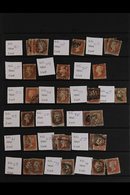 1841 - 1879 PENNY REDS BALANCE OF A SPECIALIZED COLLECTION Includes 1841 1d Red- Brown Imperfs Plates 20 To 154 Identifi - Otros & Sin Clasificación