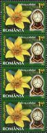 ROMANIA 2013 - FIORI E OROLOGI - 4 VALORI USATI - Used Stamps