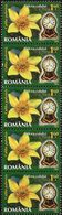 ROMANIA 2013 - FIORI E OROLOGI - 5 VALORI USATI - Used Stamps