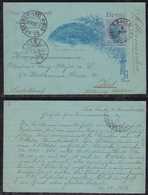 Brazil Brasil 1896 BP 48e 80R Stationery Card SAO PAULO To KIEL Germany - Ganzsachen