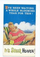 Bamforth Postcard   Number 2386 Seaside Comic Unused  Iv'e Been Waiting A Whole Blooming Year For This - Taylor