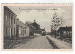 Nederhasselt - Zicht Der Maalderijen En Jongensschool - Ninove