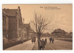 Niel Jozef Wauters Laan  Avenue Joseph Wauters - Niel