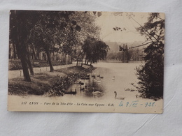 France Lyon Parc 1928  A 198 - Other & Unclassified