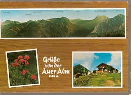 Germany & Circulated, Greetings From Bad Wiessee, Berggasthof Auer Alm, Syke 1984 (613) - Bad Wiessee