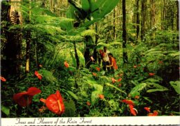 Hawaii Rain Forest Red Anthurium Giant Tree Ferns And Wild Banana Trees 1998 - Big Island Of Hawaii