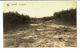 CPA - Carte Postale-Belgique Lanklaer-Stockhelm -Les Sapinières. VM4704 - Dilsen-Stokkem