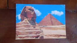 Le Grand Sphinx Et Pyramide De Chéops - Sphinx