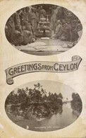 Greetings From Ceylon Buddhist Priests  Tuck Double Oval  To Havana Stamped - Sri Lanka (Ceylon)