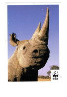 Cpm - WWF - RHINOCEROS - AFRIQUE SUD ASIE - - Rhinoceros