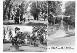 7291  GRADITZ  -  VE HAUPTGESTÜT FÜR VOLLBLUTZUCHT  1967 - Eilenburg