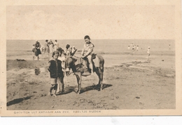 CPA - Pays-Bas - Groeten Uit Katwijk Aan Zee - Ezeltje Rijden - Katwijk (aan Zee)