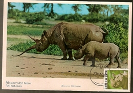 Zimbabwe & Maximum Card, African Wild Life, Rhinoceros Nero, Diceros Bicornis, Harare (166) - Rhinocéros