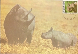 Zimbabwe & Maximum Card, African Wild Life, Rhinoceros And Calf, Diceros Bicornis, Harare (167) - Rhinocéros