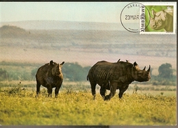 Zimbabwe & Maximum Card, East African Wild Life, Black Rhinoceros, Diceros Bicornis Harare (191) - Rhinocéros