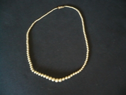 Ein-Reihige Perlenkette (773) Preis Reduziert - Colliers/Chaînes