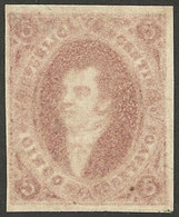 ARGENTINA: PROOFS AND ESSAYS: GJ.E 28, 1871 Proof Of 8th Printing Printed In Buenos Aires On Paper Of 50 Microns, 5c. Du - Covers & Documents