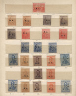 ARGENTINA: GJ.50 + Other Values, Old Collection Of Official Department Stamps In Stockbook, Mint And Of Excellent Qualit - Oficiales