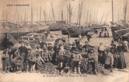 ¤¤  -  CANCALE    -   Le Triage Des Huitres    -  ¤¤ - Cancale