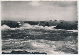 Belle Ile En Mer -  Sauzon - Belle Ile En Mer