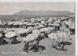 MARINA DI CARRARA SPIAGGIA.PANORAMA -VIAGGIATA--1956-FG-MT.1078 - Carrara