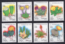 Somalia - Cactus Flora Nature On Postage Stamps Set Of 8 MNH** AJ - Sukkulenten