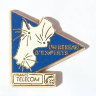 Pin's FRANCE TELECOM - UN RESEAU D'EXPERTS - Carte Région Sud Ouest - Zamac - Tosca - I412 - France Telecom
