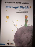 LITTLE PRINCE Antoine De Saint Exupery Mirzaye Biçuk KURDISH LANGUAGE - Junior