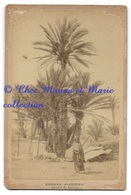 SAHARA ALGERIEN GOURBI DE KHAMES - TENTE MOUTON - PHOTO CDV 15 X 9.5 CM - ALGERIE - Africa