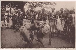 Afrique Occidentale - Les Luttes Sénégalaises - Worstelen