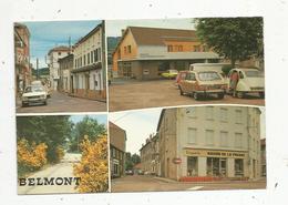 Cp , 42 , BELMONT DE LA LOIRE ,  Vierge ,  Ed. Cellard - Belmont De La Loire