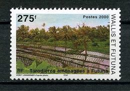 WALLIS FUTUNA 2000 N° 540 ** Neuf MNH Superbe C 7 € Tarodières Aménagées Agriculture - Unused Stamps