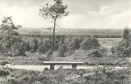 Holten, Groeten Vanuit De Holterberg  (glansfotokaart) - Holten