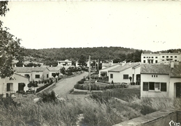 ( CARCES  ) ( 83 VAR ) LOTISSEMENT ST MARTIN - Carces