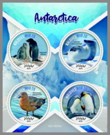 MALDIVES 2019 MNH Antarctica Antarktis Penguins Pinguine M/S - IMPERFORATED - DH1928 - Antarctic Wildlife