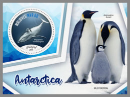 MALDIVES 2019 MNH Antarctica Antarktis Penguins Pinguine Whale Wal Baleines S/S - IMPERFORATED - DH1928 - Antarctic Wildlife