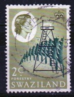 Swaziland Queen Elizabeth 1962 Single 2c Definitive Stamp. - Swasiland (...-1967)