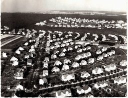 Carte POSTALE Ancienne De FAULQUEMONT - Les Cités - Faulquemont