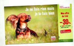 Carte Publicitaire Maxi Zoo Theme Chien - Hunde
