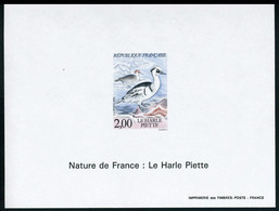 Neuf Sans Charnière Collection De 38 Blocs Gommés Différents Dans L'année 1993, T.B. - Other & Unclassified