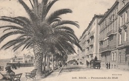 Delcampe - Alpes Maritimes : NICE : Promenade Du Midi - Parks