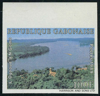 Neuf Sans Charnière 100F L' Ogooue ND + épreuve De Luxe Dernier Timbre De L'année 89 Non émis. Michel A1052 - Autres & Non Classés