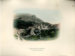 Principauté De Monaco Le Palais Du Prince  Photogravure Couleur Neurdein Frères 22x29cm (2) - Lugares