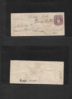 Chile - Stationery. 1877 (12 Ago) San Felipe - Valp. 5c Lilac Stat Env. 139x59mm, Paper No Lines. Selchi 1AI, HG1. - Chile