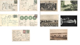 Libia. 1935. Five Diff Circulated Fkd Ppcs Addressed To Italy, Including Cirenaica, Tobruk, Tripoli, Cirene, Azizzia, Ba - Libya