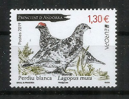 ANDORRA.  La Perdrix Des Neiges. (perdiz Nival) Europa 2019 ,  Neuf ** , Haute Faciale - Unused Stamps