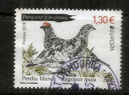 ANDORRA.  La Perdrix Des Neiges.(perdiz Nival) Europa 2019 ,   Oblitéré, 1 ère Qualité - Used Stamps