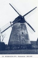 RESSEGEM Bij Herzele (O.Vl.) - Molen/moulin - Blauwe Prentkaart Ons Molenheem Van De Verdwenen Molen Gijsels - Herzele